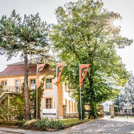 Stadtschloss Hecklingen*** Hecklingen  Bagian luar foto