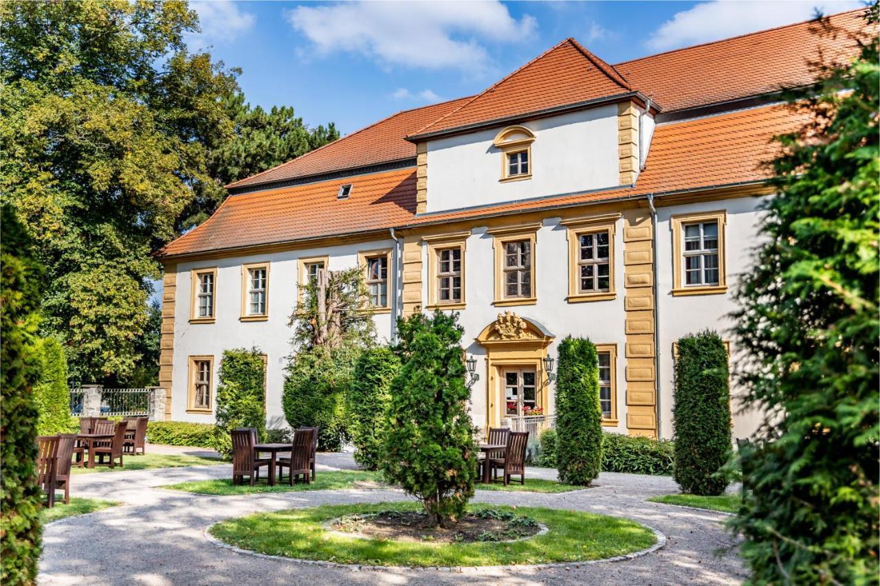 Stadtschloss Hecklingen*** Hecklingen  Bagian luar foto